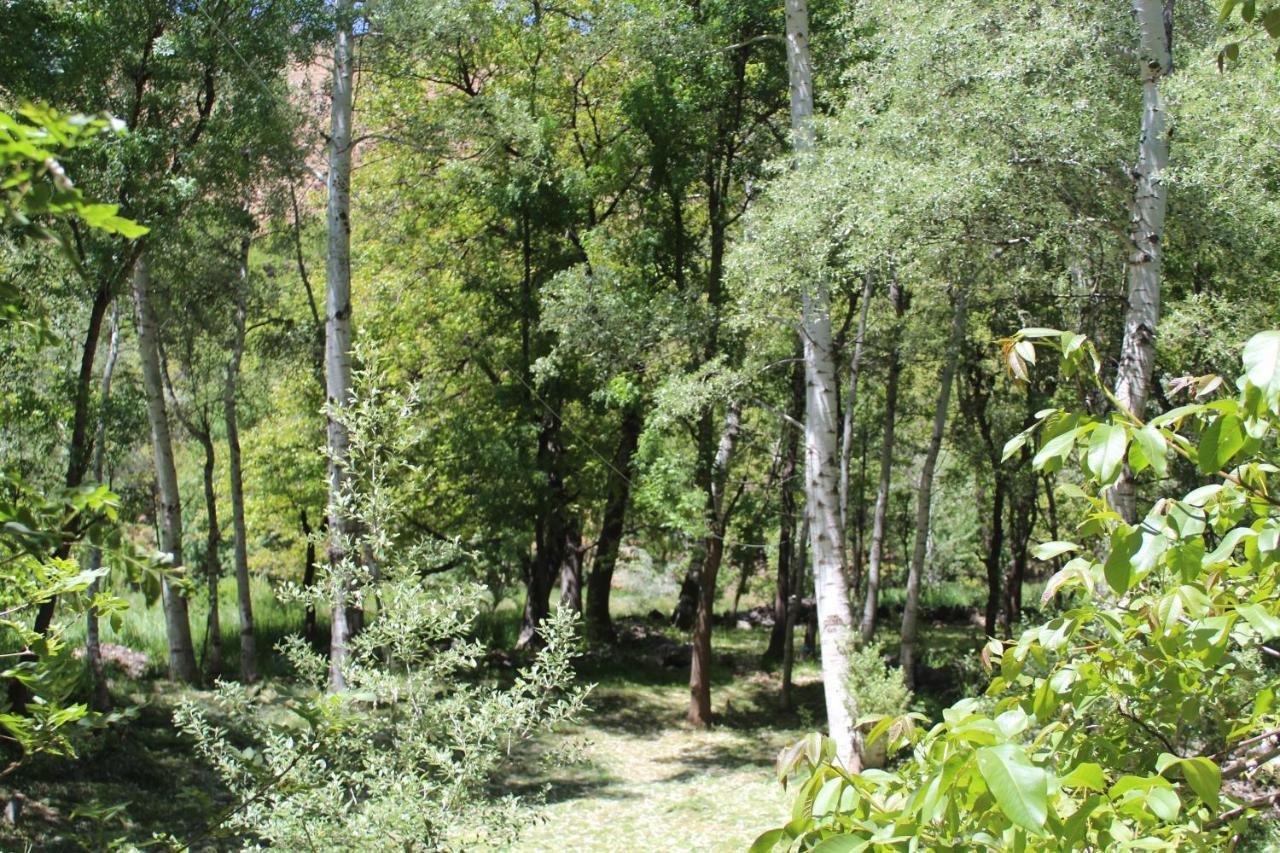 Auberge Toubkal Amsouzart Aitst Idar Tizgui Dış mekan fotoğraf